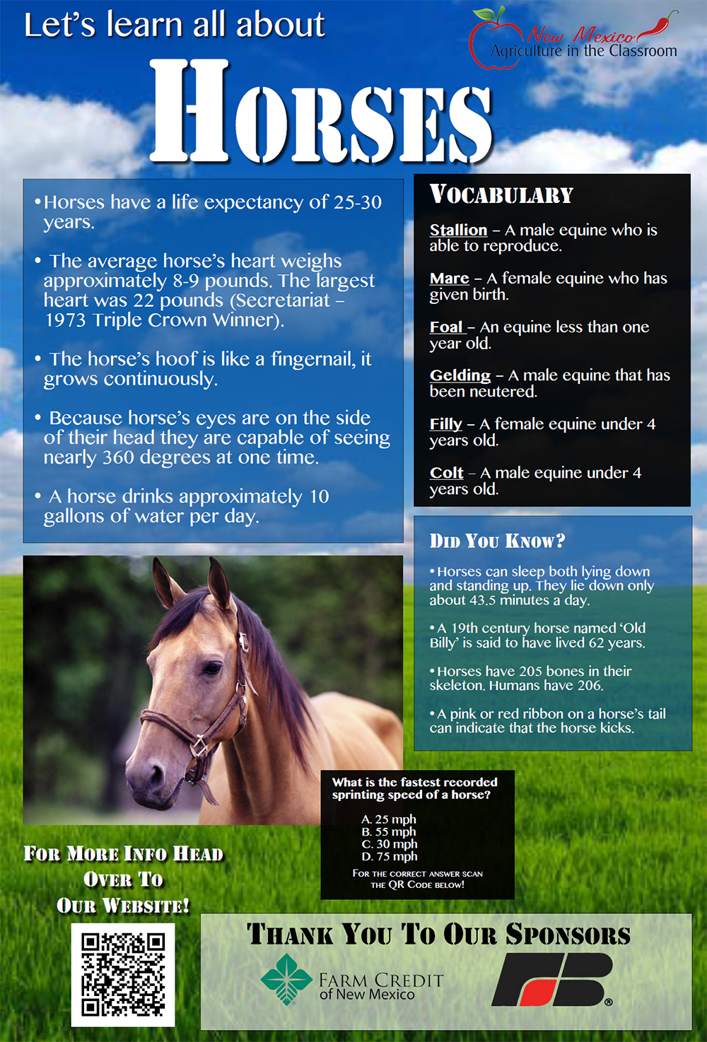 Horses Poster