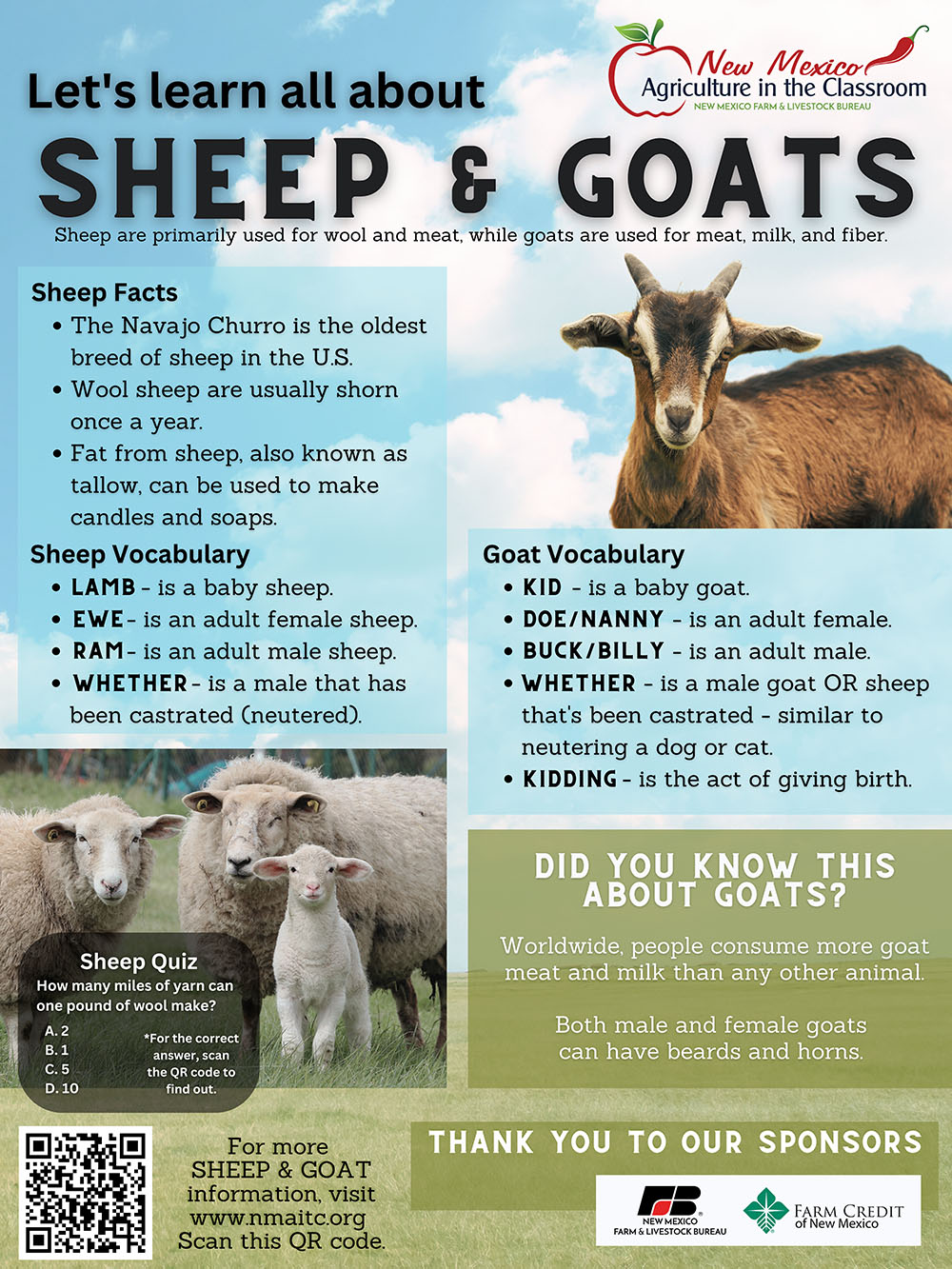 Sheep & Goats Poster